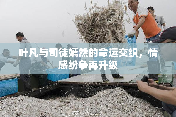 叶凡与司徒嫣然的命运交织，情感纷争再升级