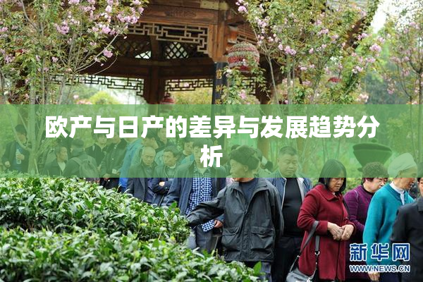 欧产与日产的差异与发展趋势分析