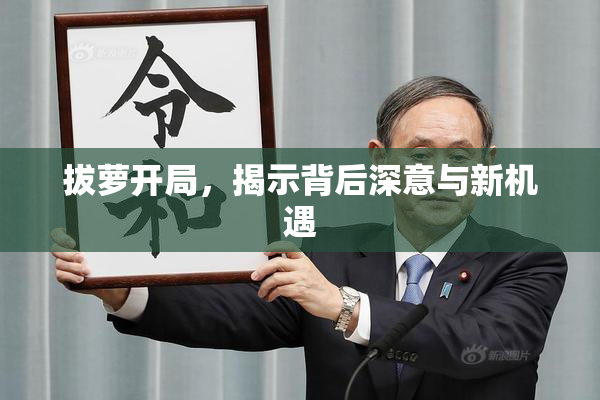 拔萝开局，揭示背后深意与新机遇