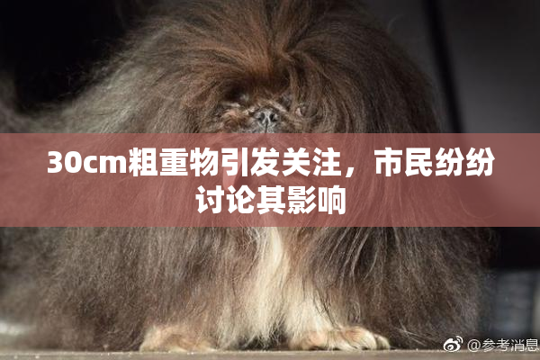 30cm粗重物引发关注，市民纷纷讨论其影响