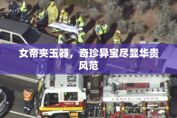 女帝夹玉器，奇珍异宝尽显华贵风范