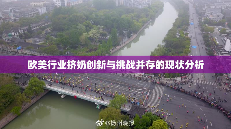 欧美行业挤奶创新与挑战并存的现状分析
