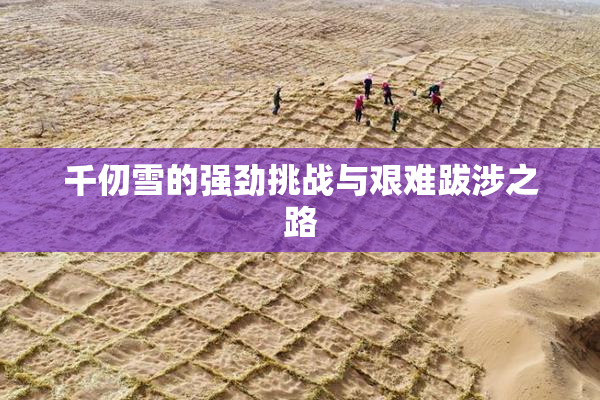 千仞雪的强劲挑战与艰难跋涉之路