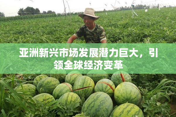 亚洲新兴市场发展潜力巨大，引领全球经济变革