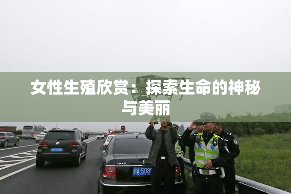 女性生殖欣赏：探索生命的神秘与美丽