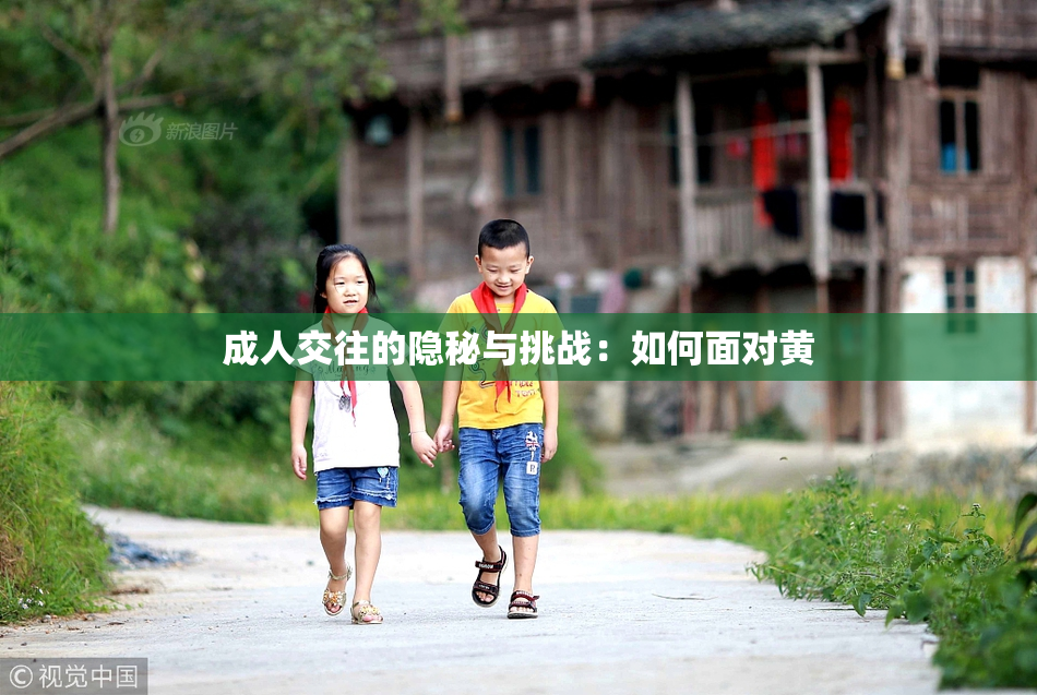 成人交往的隐秘与挑战：如何面对黄