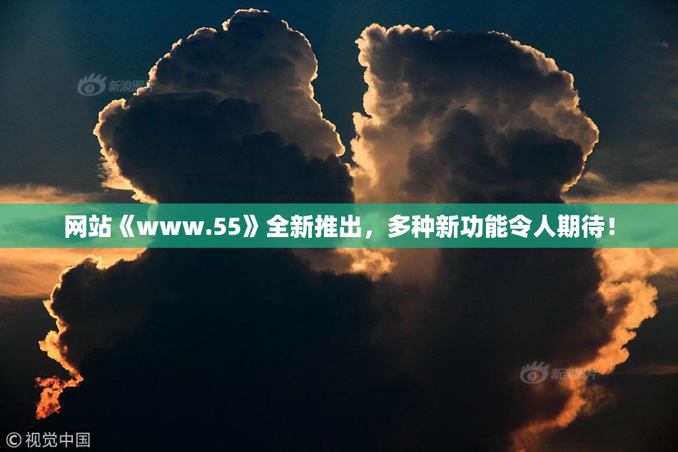 网站《www.55》全新推出，多种新功能令人期待！