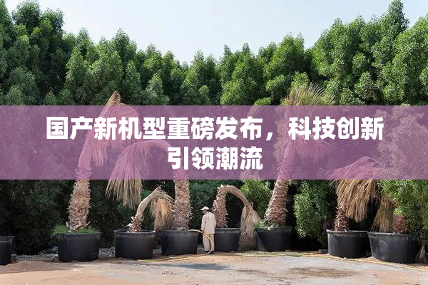 国产新机型重磅发布，科技创新引领潮流