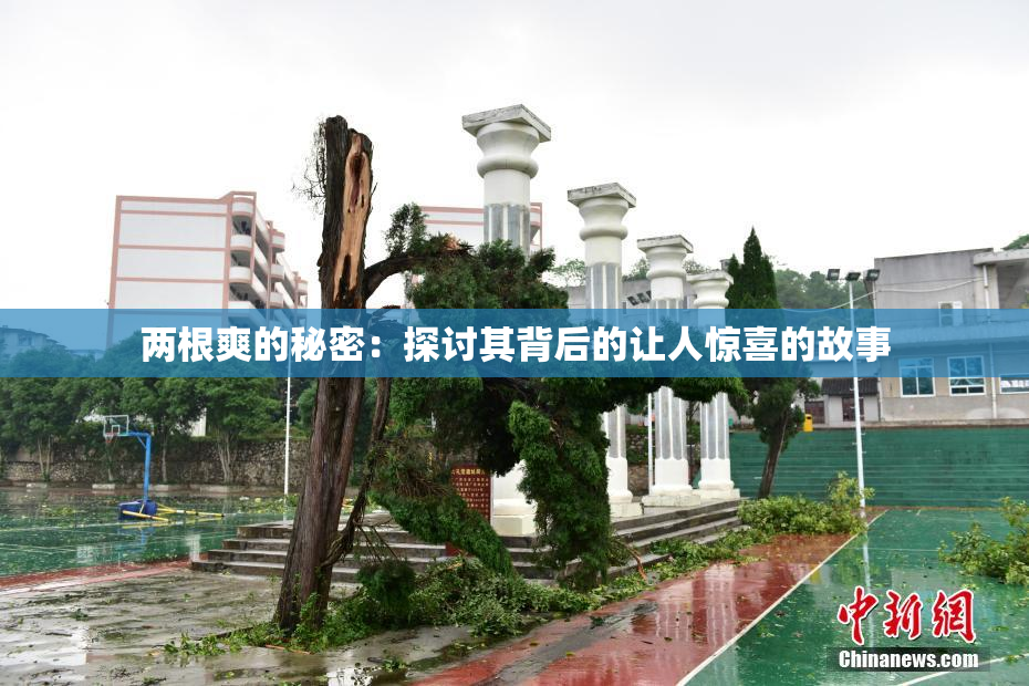 两根爽的秘密：探讨其背后的让人惊喜的故事