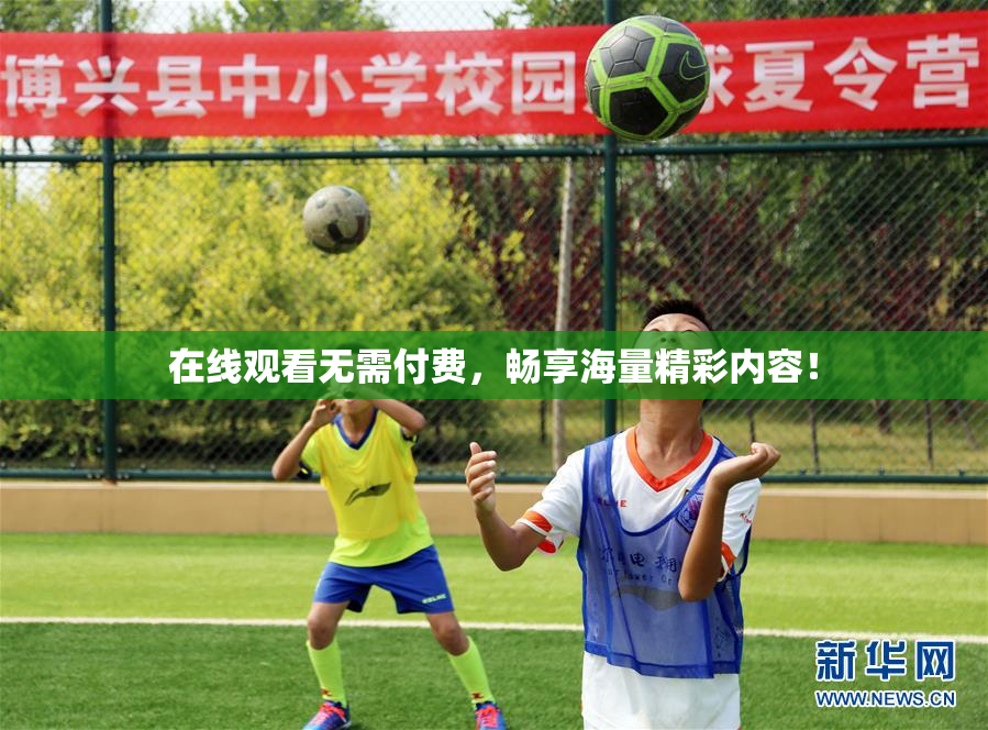 在线观看无需付费，畅享海量精彩内容！