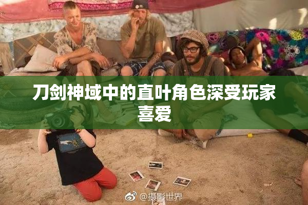 刀剑神域中的直叶角色深受玩家喜爱