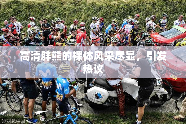 高清胖熊的裸体风采尽显，引发热议