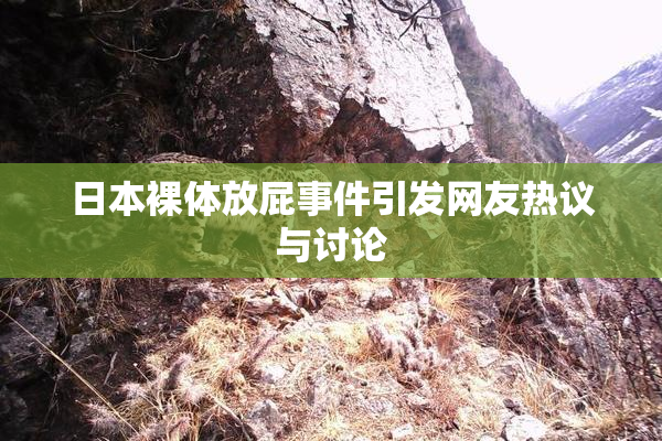 日本裸体放屁事件引发网友热议与讨论