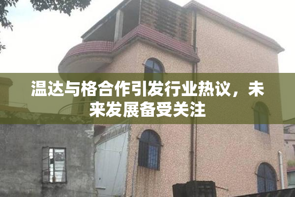 温达与格合作引发行业热议，未来发展备受关注