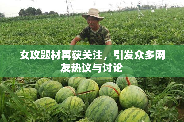 女攻题材再获关注，引发众多网友热议与讨论