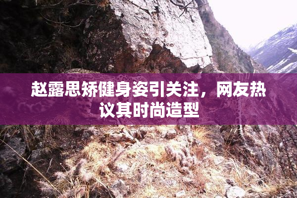 赵露思矫健身姿引关注，网友热议其时尚造型