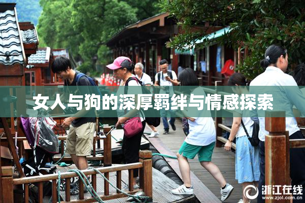 女人与狗的深厚羁绊与情感探索