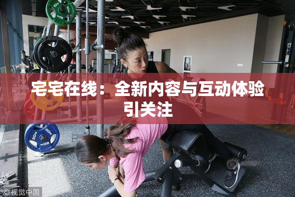 宅宅在线：全新内容与互动体验引关注
