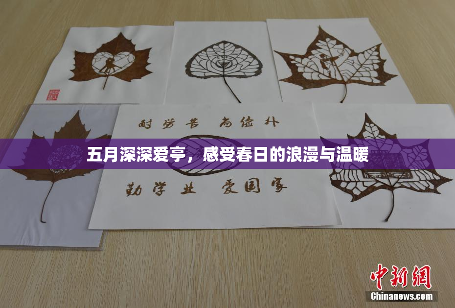 五月深深爱亭，感受春日的浪漫与温暖