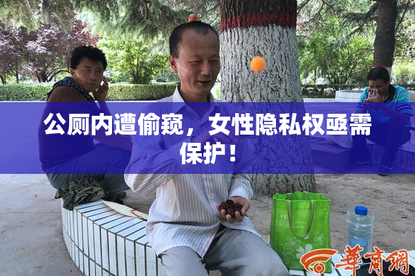 公厕内遭偷窥，女性隐私权亟需保护！