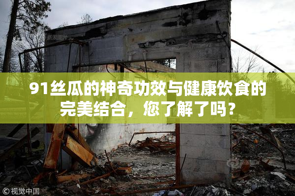 91丝瓜的神奇功效与健康饮食的完美结合，您了解了吗？