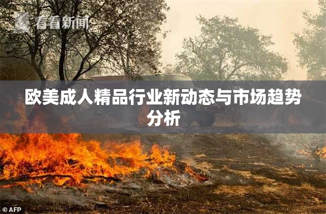 欧美成人精品行业新动态与市场趋势分析