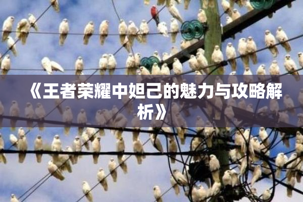 《王者荣耀中妲己的魅力与攻略解析》