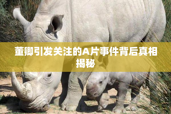 董卿引发关注的A片事件背后真相揭秘