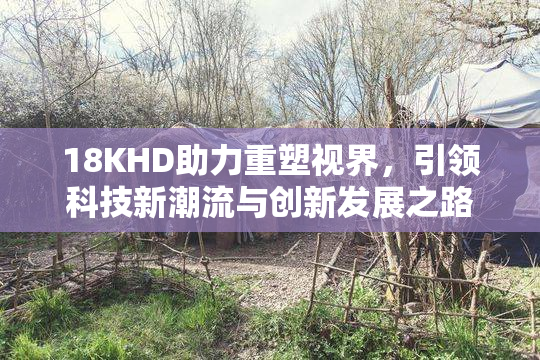18KHD助力重塑视界，引领科技新潮流与创新发展之路