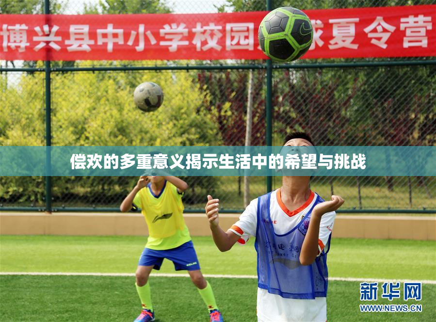 偿欢的多重意义揭示生活中的希望与挑战