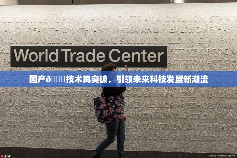 国产🔞技术再突破，引领未来科技发展新潮流