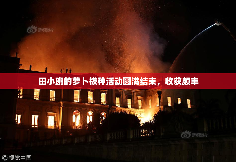 田小班的萝卜拔种活动圆满结束，收获颇丰