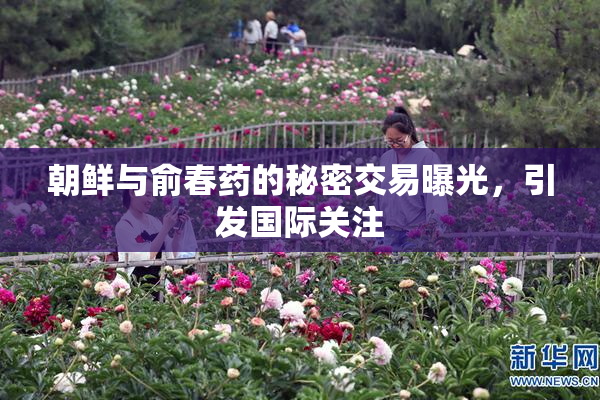 朝鲜与俞春药的秘密交易曝光，引发国际关注