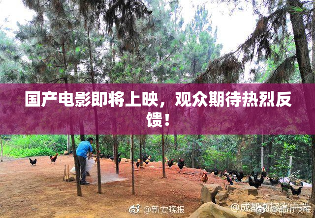 国产电影即将上映，观众期待热烈反馈！