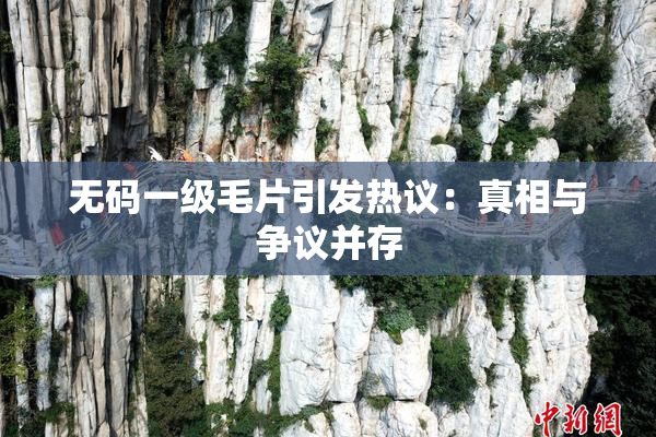 无码一级毛片引发热议：真相与争议并存