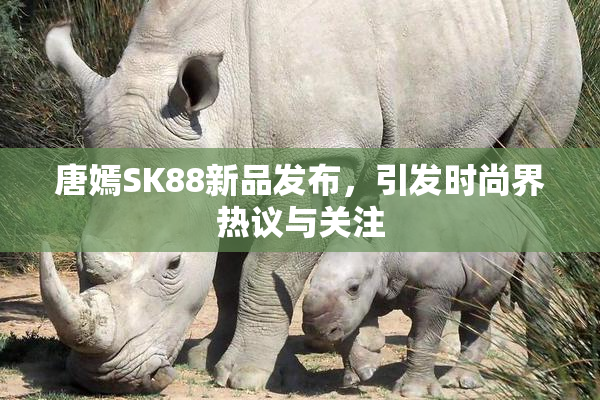 唐嫣SK88新品发布，引发时尚界热议与关注