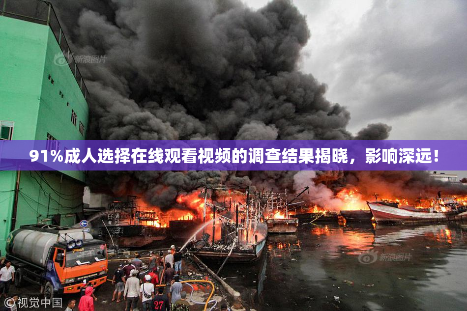 91%成人选择在线观看视频的调查结果揭晓，影响深远！