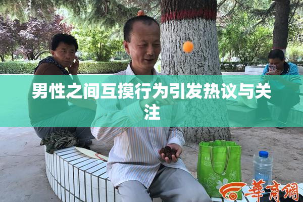 男性之间互摸行为引发热议与关注