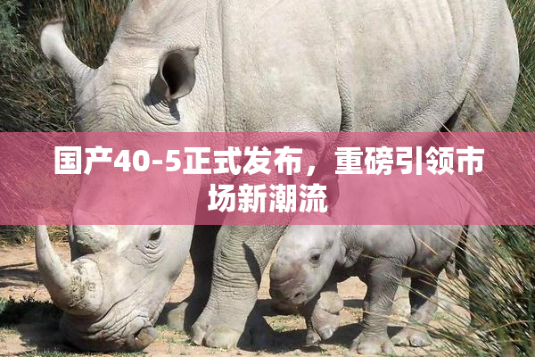 国产40-5正式发布，重磅引领市场新潮流