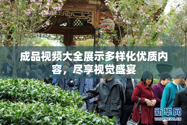 成品视频大全展示多样化优质内容，尽享视觉盛宴