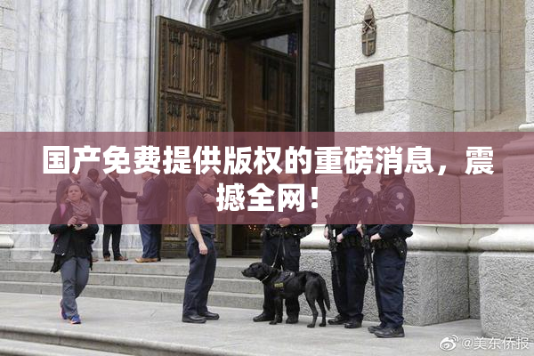 国产免费提供版权的重磅消息，震撼全网！