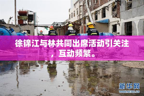 徐锦江与林共同出席活动引关注，互动频繁。