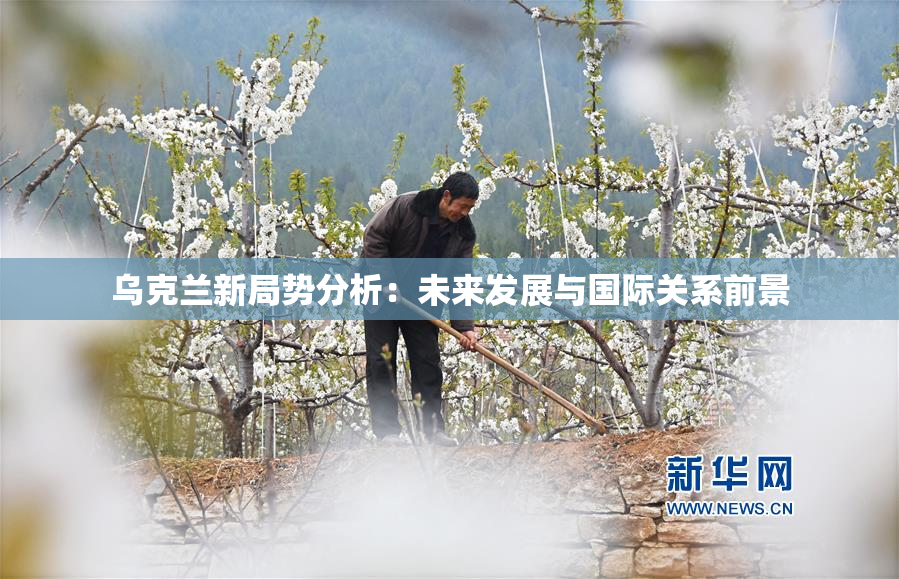 乌克兰新局势分析：未来发展与国际关系前景