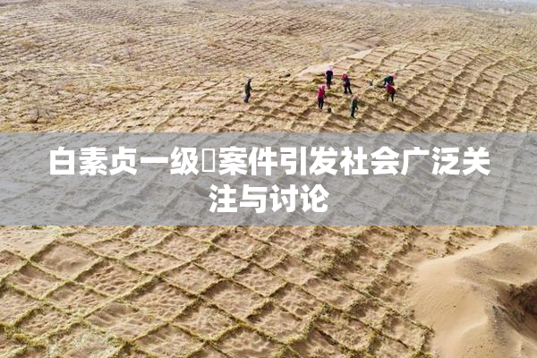 白素贞一级婬案件引发社会广泛关注与讨论