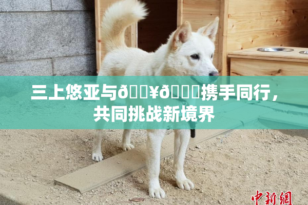 三上悠亚与🔥💋携手同行，共同挑战新境界