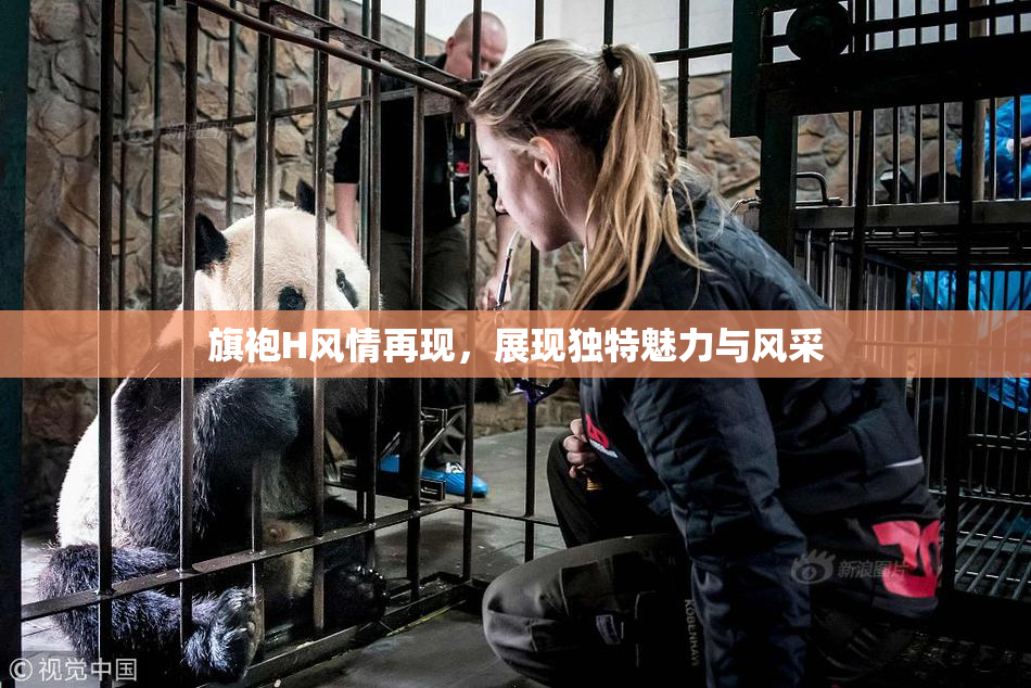 旗袍H风情再现，展现独特魅力与风采