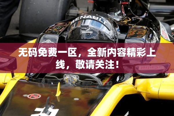 无码免费一区，全新内容精彩上线，敬请关注！