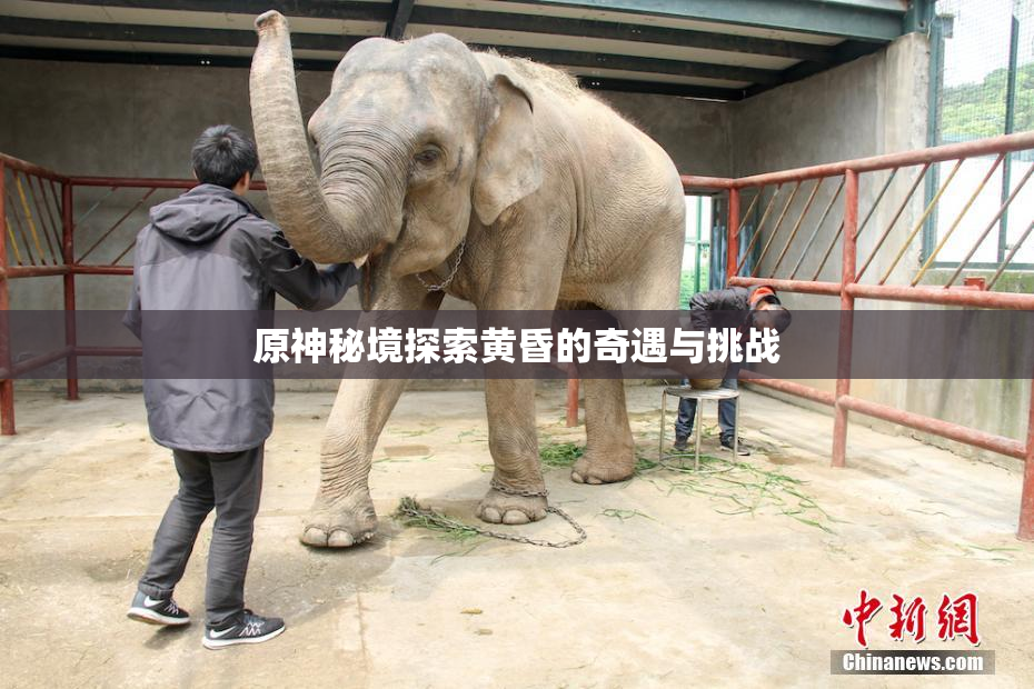 原神秘境探索黄昏的奇遇与挑战