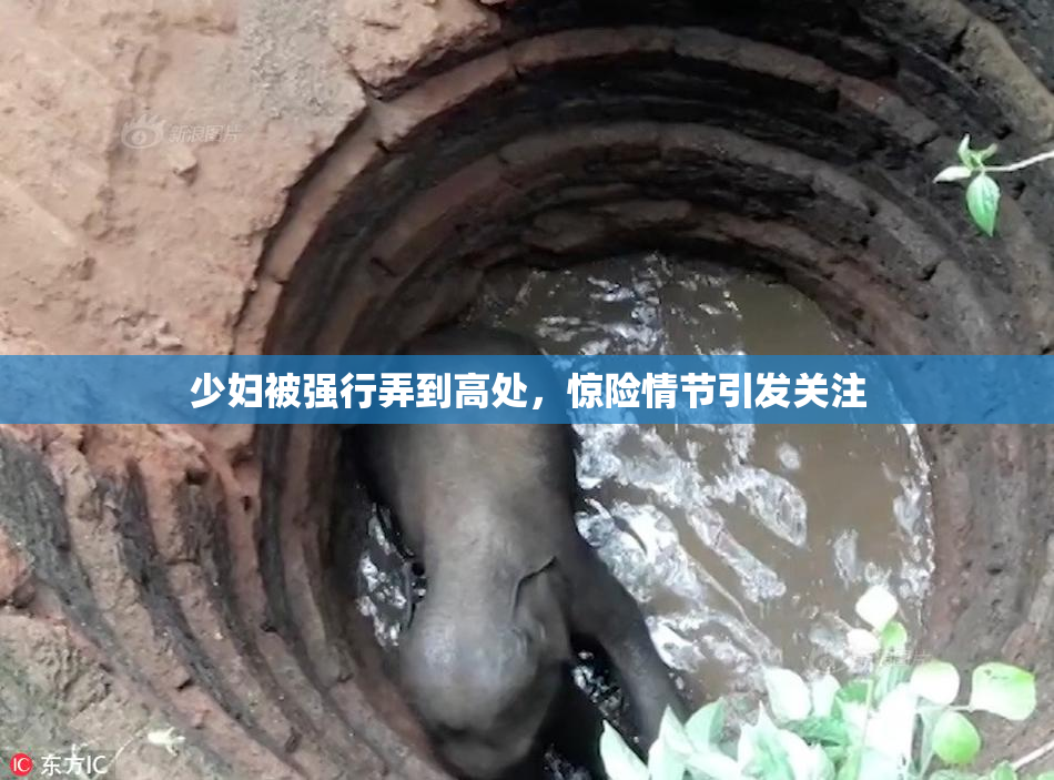 少妇被强行弄到高处，惊险情节引发关注