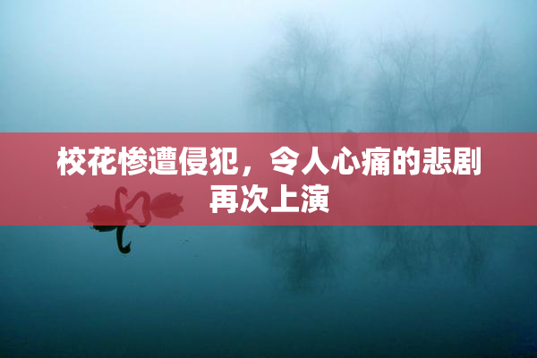 校花惨遭侵犯，令人心痛的悲剧再次上演